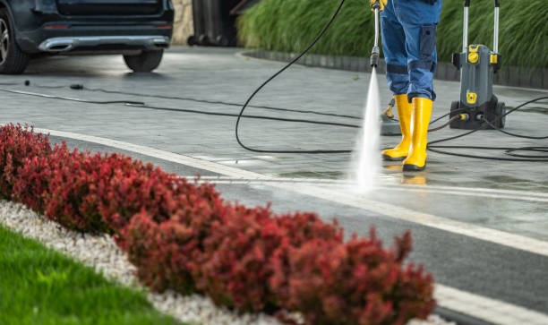 Best Solar Panel Cleaning  in Marion, WI